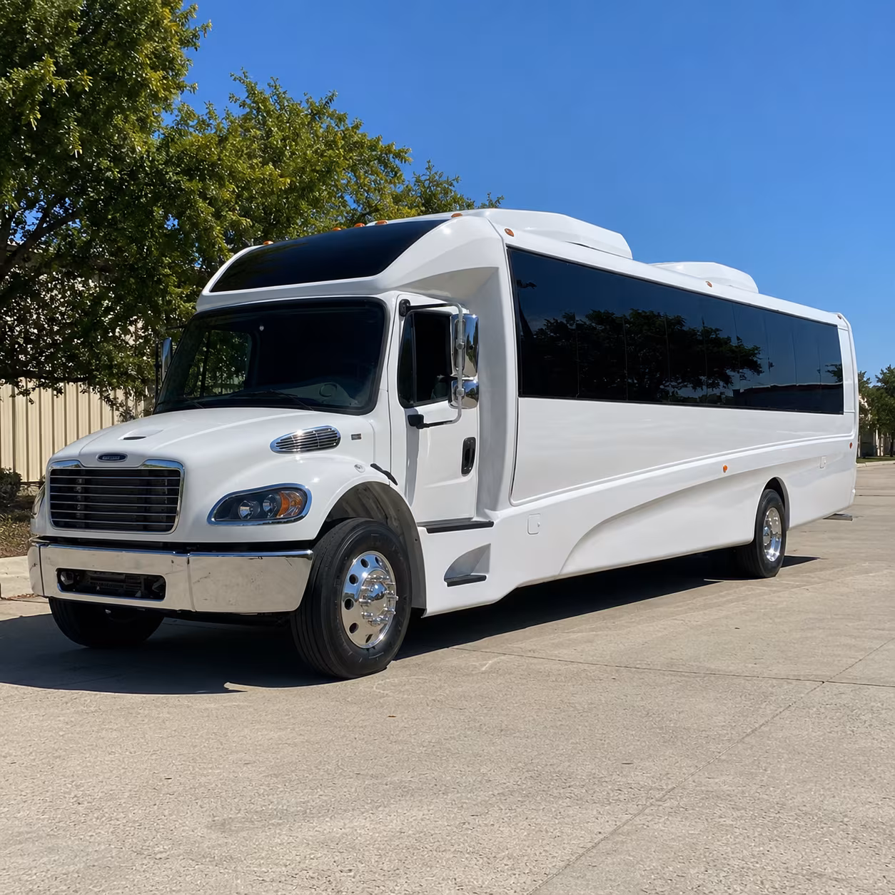 amarillo 18 passenger minibus