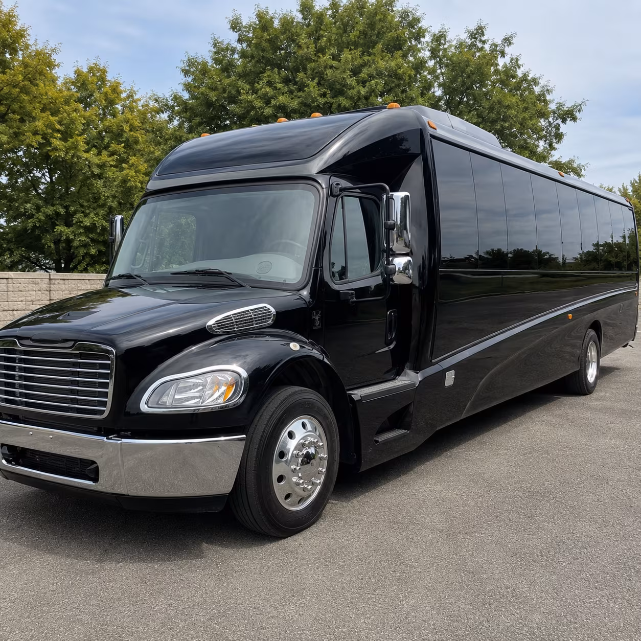 amarillo 20 passenger minibus